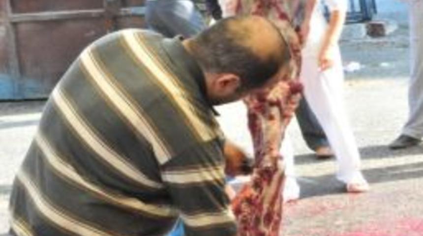 Acemi Kasaplar Hastanelere Akın Etti