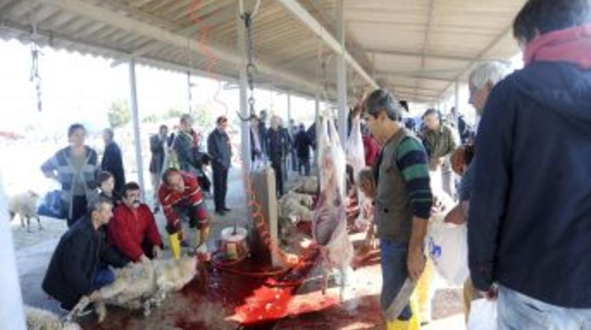 Hayvan Pazarında Kesim Kuyruğu