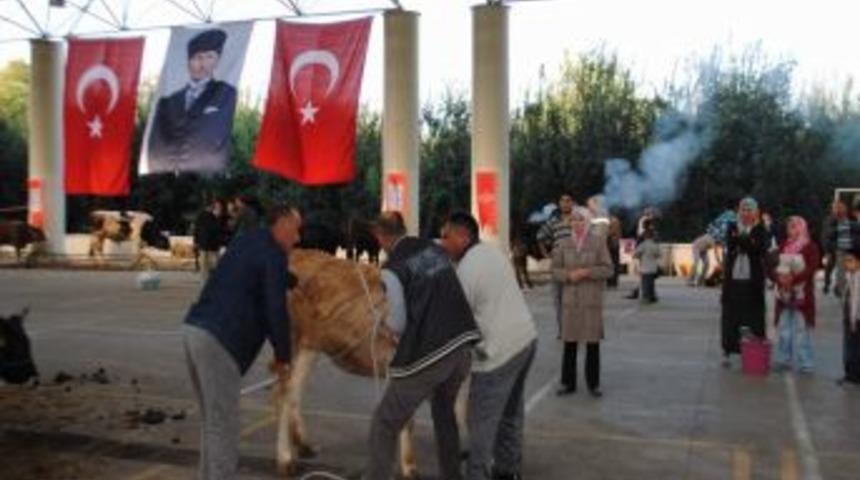 Kurban Kesim &Uuml;creti Ikinci G&uuml;n Y&uuml;zde 50 Daha Ucuz