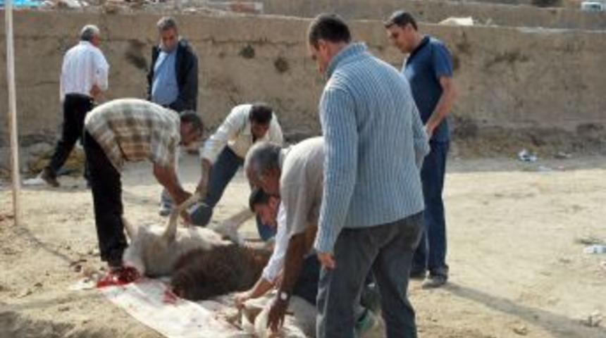 İzmir'de Vatandaşlar 40 Merkezde Kurbanlarını Kesiyor