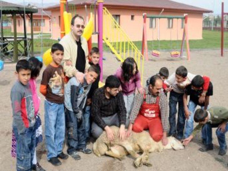 sivas sevgi evleri nde kurban heyecani yasandi sivas haberleri