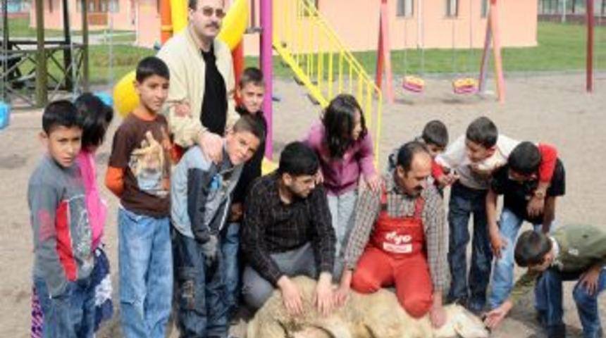 Sivas Sevgi Evleri'nde Kurban Heyecanı Yaşandı