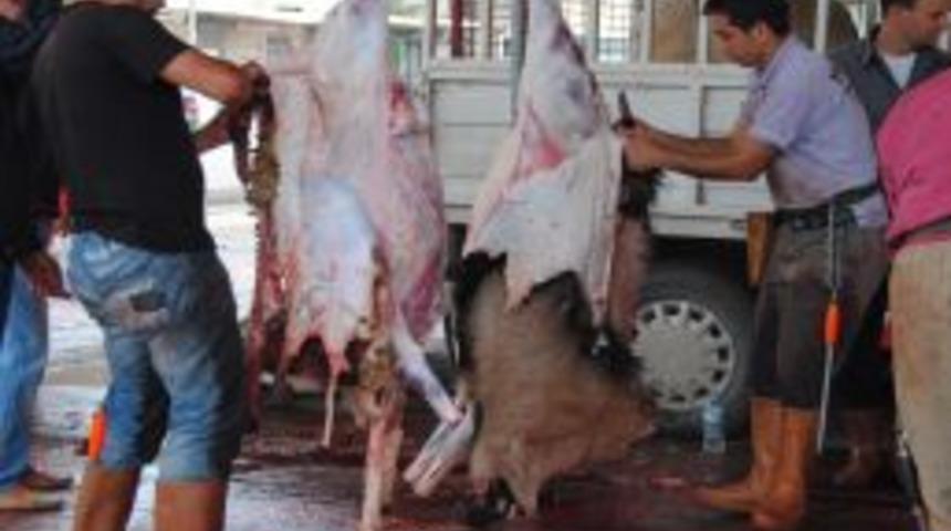 Manavgat'ta Kurbanlık Kesimi Komisyonun Belirlediği Yerlerde Yapılıyor