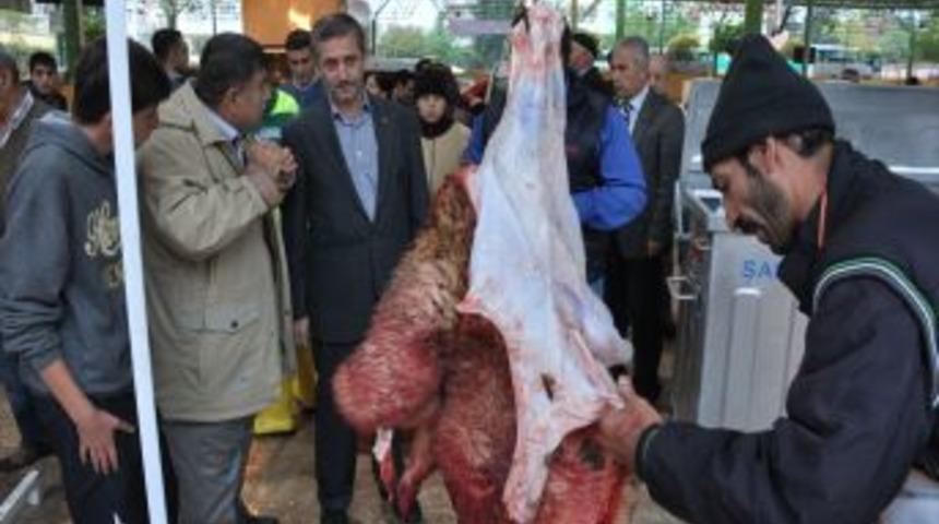 Başkan Tahmazoğlu, Kurban Kesim Yerlerini Denetledi