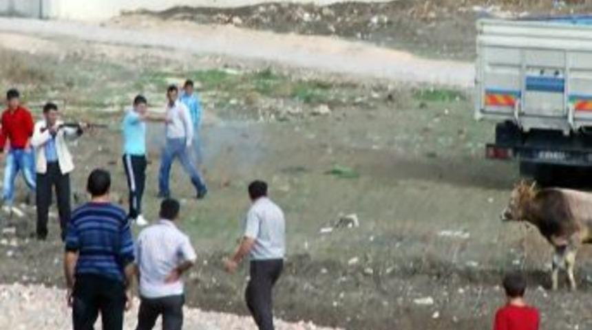 Ka&ccedil;an kurbanlığı av t&uuml;feğiyle vurdu