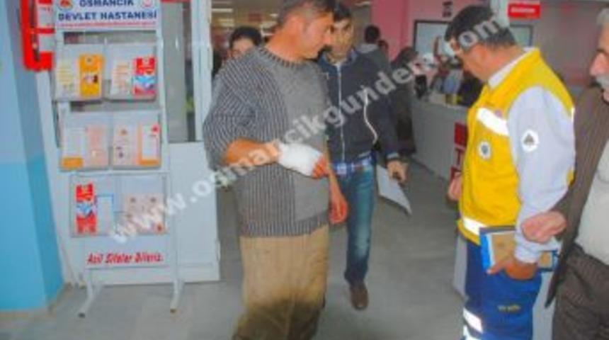 Osmancık'ta acemi kasaplar yaralandılar