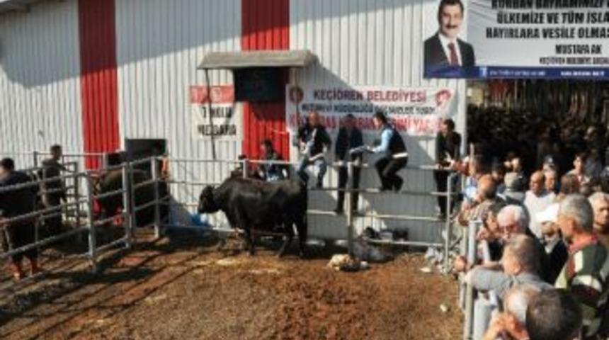 Ke&ccedil;i&ouml;ren&rsquo;de Modern Mezbahane Sayesinde Sıkıntı Yaşanmadı