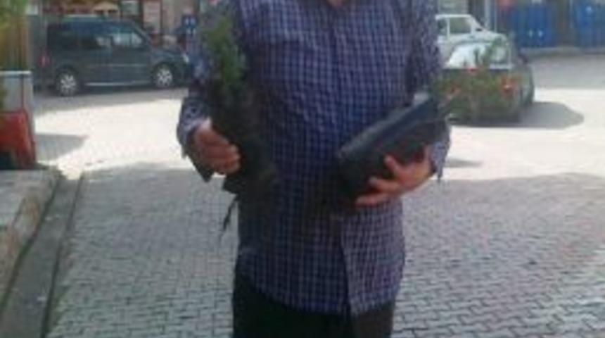 Halka Bayram Fidanı