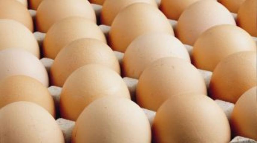 Beyaz Et Ve Yumurta Ihracatı Rekora Koşuyor