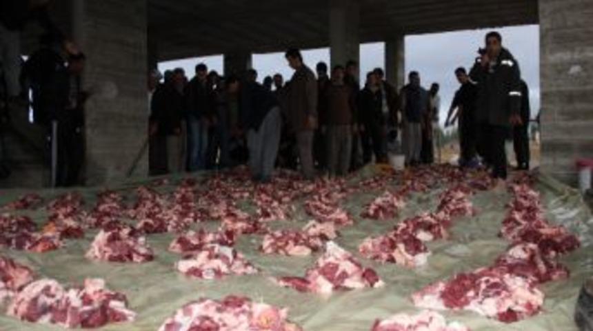 Y&uuml;ksekova&rsquo;da Toplu Kurban Kesimi