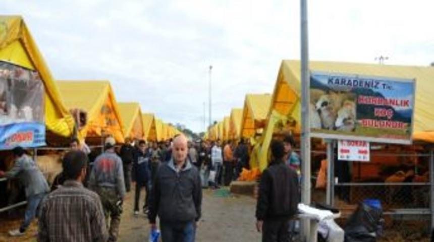 Beylikd&uuml;z&uuml;&rsquo;nde Kurban Kesimine İlgi