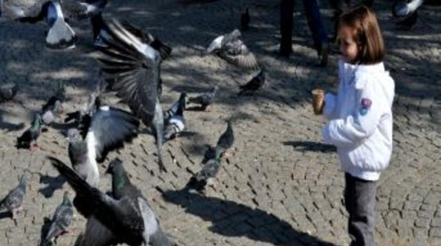 Edirne&rsquo;de Bayram Coşkusu