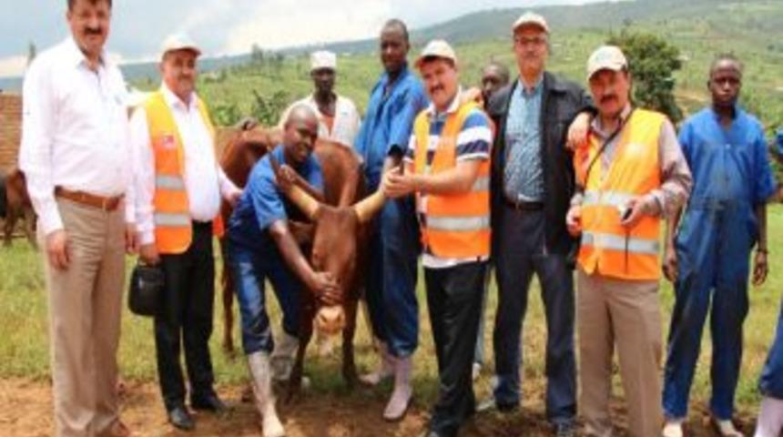 Karaman, Ruanda Ile G&ouml;n&uuml;l K&ouml;pr&uuml;s&uuml; Kurdu