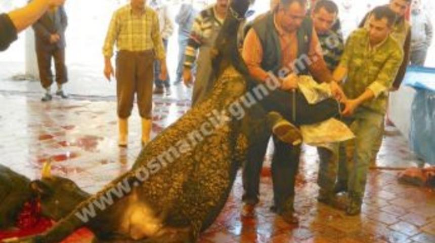 Osmancık'ta Kurban Bayramı' nda bir ilk