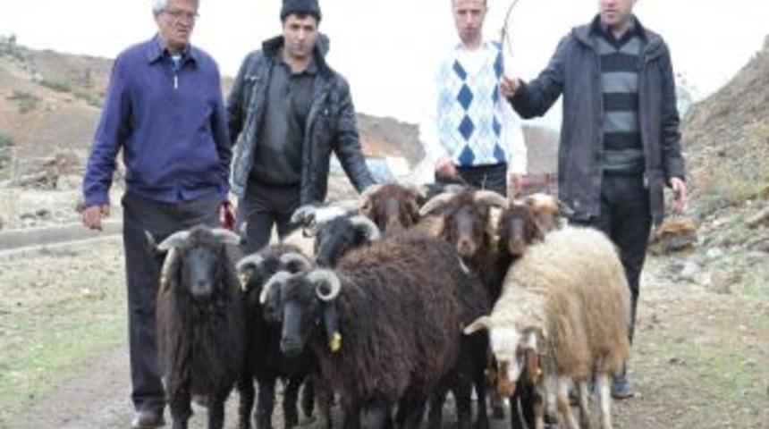 Bing&ouml;l&rsquo;de Yaralanan Mehmet&ccedil;ikten Vefa &Ouml;rneği