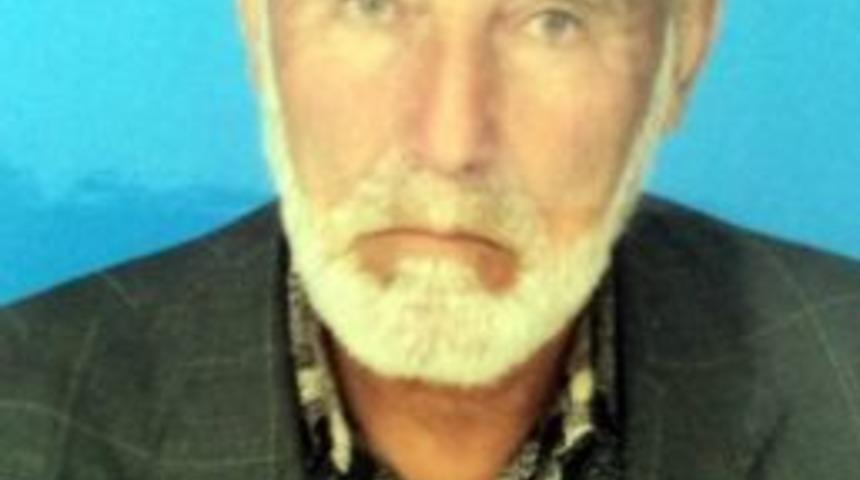 Kaybolan Babasını Arıyor