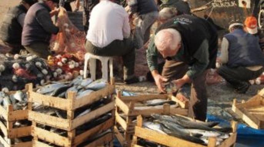 Lapseki'de L&uuml;fer Bereketi