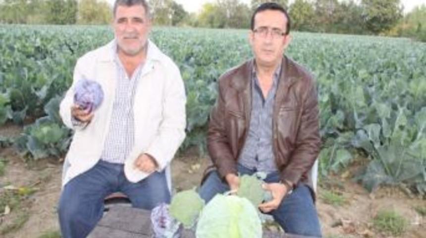 İneg&ouml;l &Ccedil;ift&ccedil;isine Alternatif &Uuml;r&uuml;n &Ccedil;ağrısı