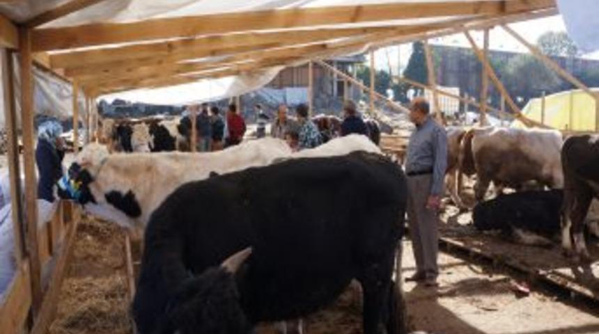 Kurbanlıklar Ellerinde Kaldı