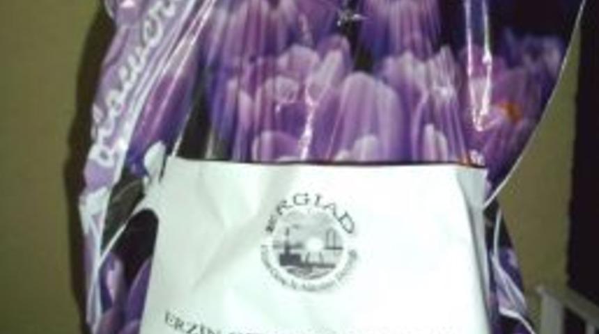 G&ouml;n&uuml;ll&uuml;ler Bayramda G&ouml;n&uuml;lleri Fethetti