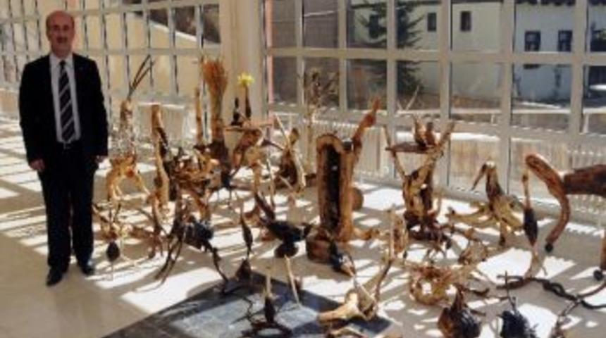 Ağa&ccedil; K&ouml;kleri G&uuml;m&uuml;şhane Turizmine Kazandırılıyor