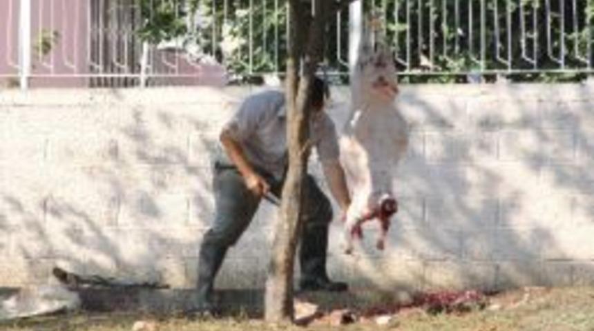 Yasağa Rağmen Kaldırımda Kurban Kesimi