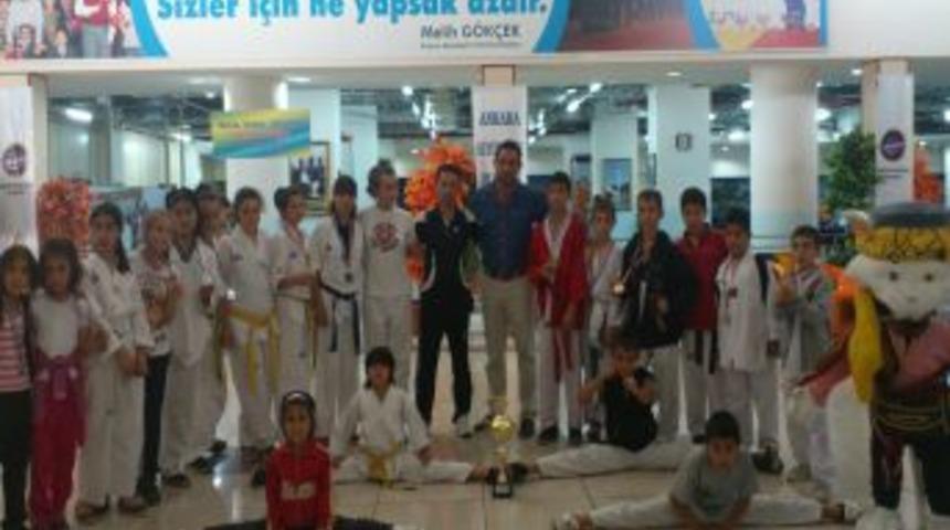 Budokai Do Cumhuriyet Kupası'nın Sahibi Pursaklar Aile Yaşam Merkezi Oldu