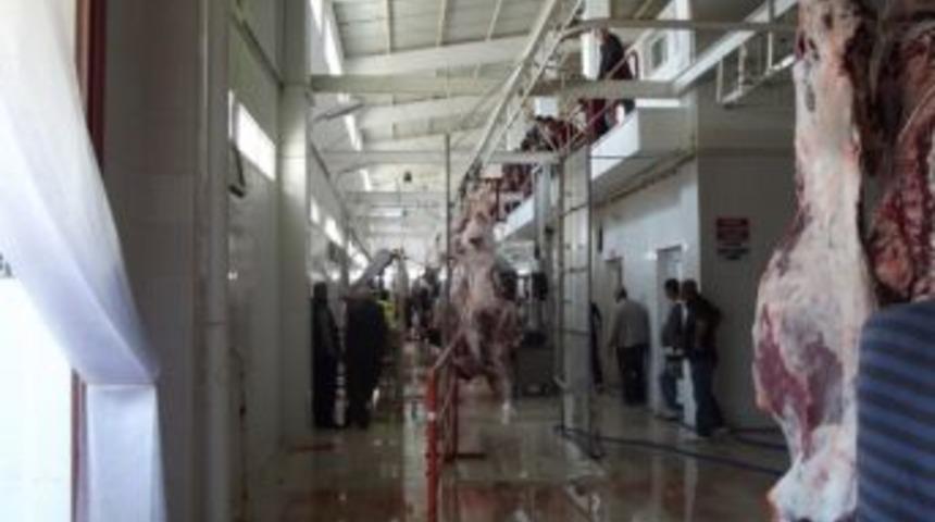 Ayvalık Belediyesi Mezbahası &Uuml;cretsiz Hizmet Verdi