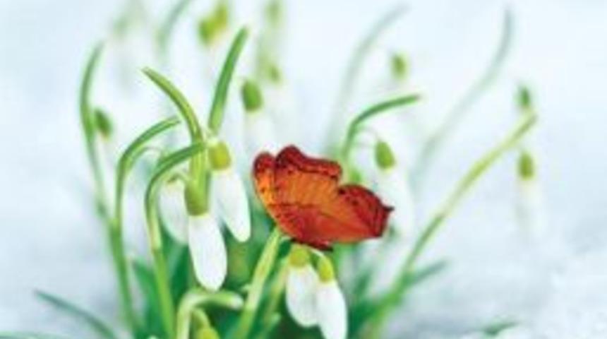 Sadık S&ouml;ztutan&rsquo;ın 10. Kitabı &ldquo;s&ouml;yle, Nasıl &Uuml;z&uuml;lmezsen, &Ouml;yle &Ouml;leyim&rdquo; Yayınlandı