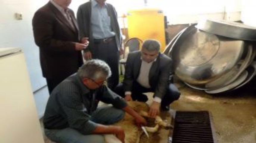 Alevi Dedesi: Yapılan Hizmetler Sosyal Sorumluluk Ve Barış A&ccedil;ısından &Ccedil;ok &Ouml;nemli