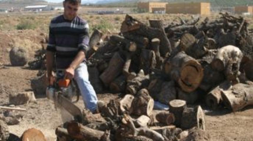 Vatandaşı Kış Telaşı Sardı