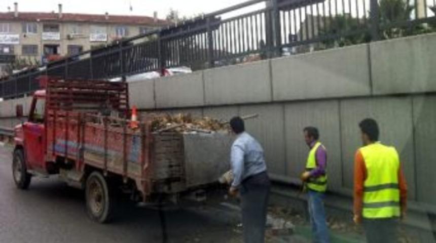 K&ouml;pr&uuml;lerde Lodos Temizliği