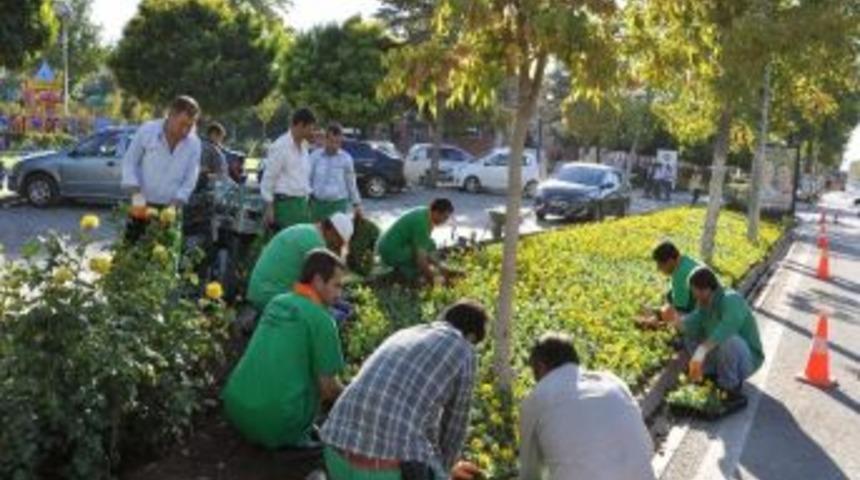 Malatya&rsquo;da &Ccedil;i&ccedil;eklendirme &Ccedil;alışmaları