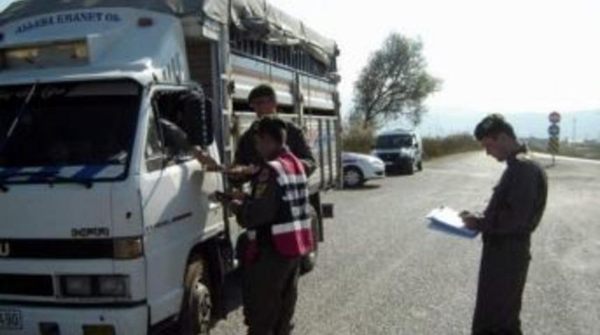 Aydın Jandarmasından &Ouml;rnek Davranış