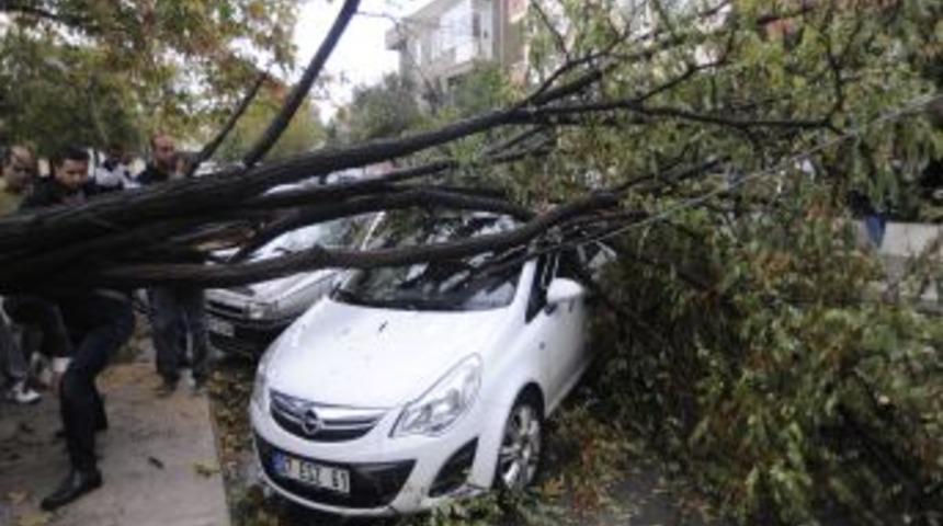 &Ccedil;anakkale&rsquo;de Fırtına Ağa&ccedil;ları Devirdi