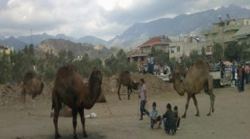 Develer G&uuml;reşe Antrenman Yaparak Hazırlanıyor