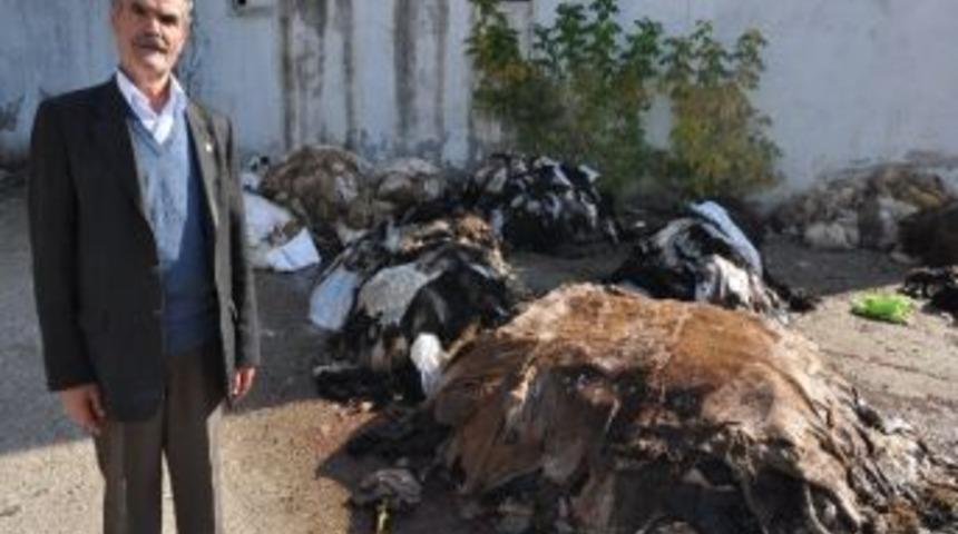 Thk Elbistan'da 20 Bin Liralık Deri Topladı