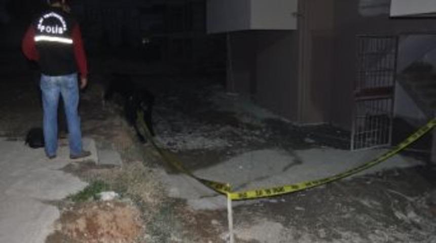 6. Kattan Atladı Yaralı Kurtuldu