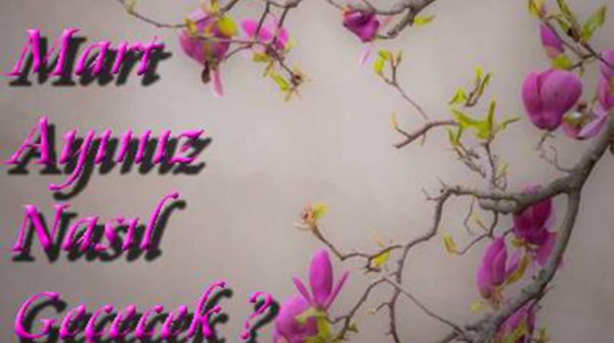 Mart 2015 aylık bur&ccedil; yorumları