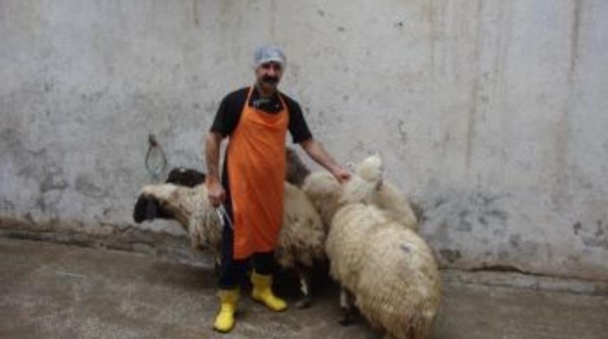 Mahkumlara Kavurma Ziyafeti