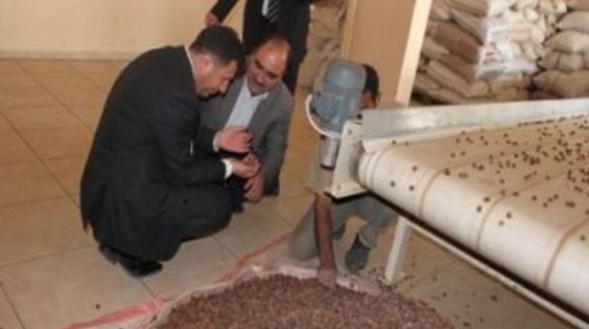 Bitlis&rsquo;ten Doğal &Uuml;r&uuml;n İhracatı