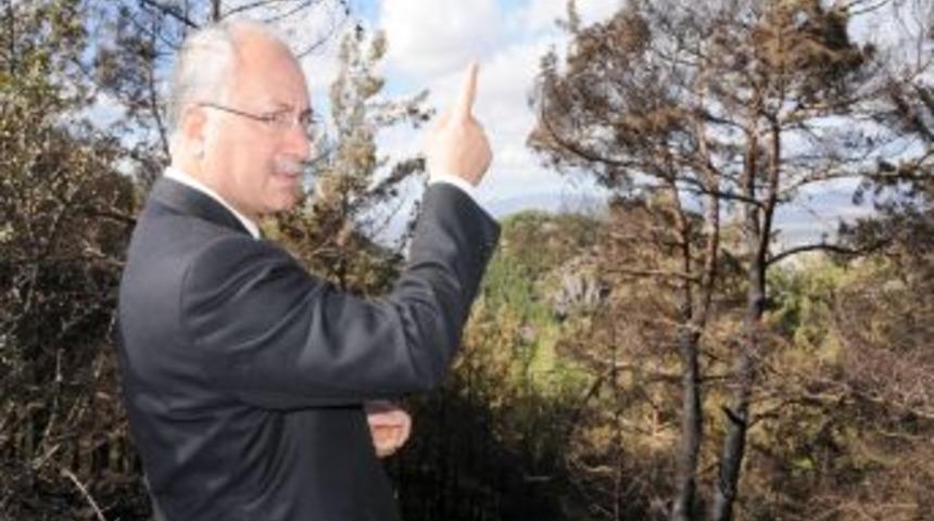 Daş&ouml;z: Yangında Sabotaj &Ouml;nemli Ihtimallerden Biri Olarak &Ouml;n Plana &Ccedil;ıkıyor