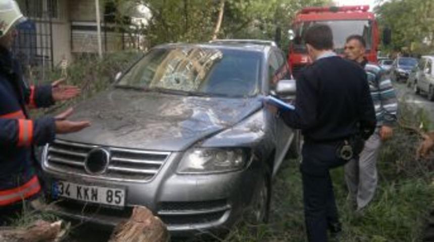 İstanbul'da Lodos Ağa&ccedil;ları Devirdi