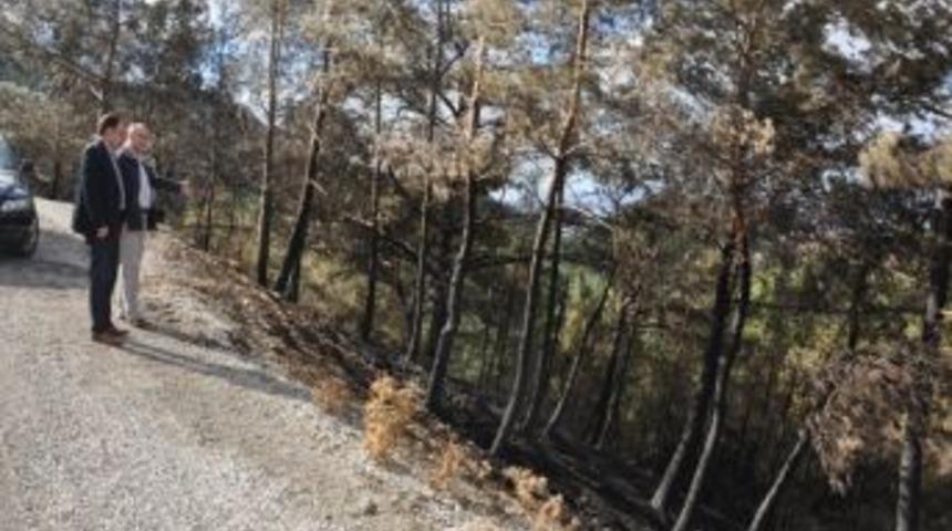 Ak Parti'li Baybatur Yanan Orman Alanında İnceleme Yaptı