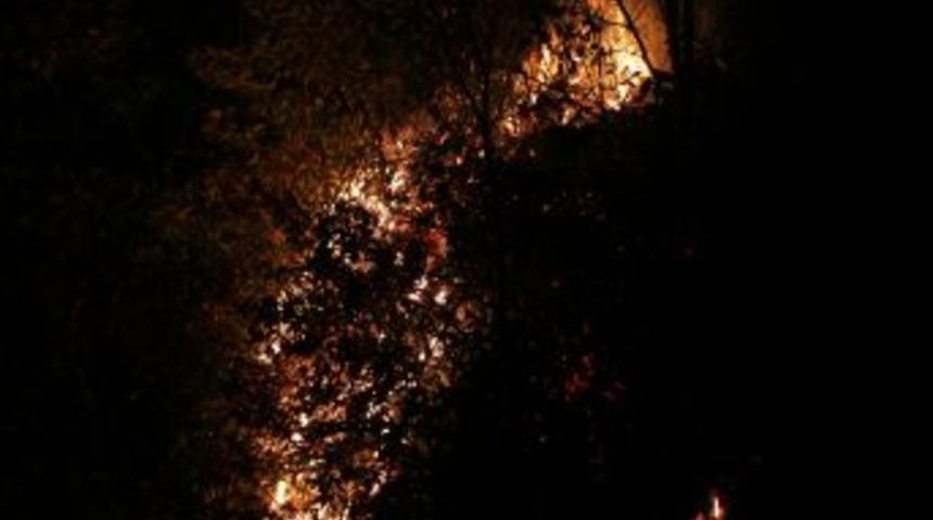 Ordu'da Orman Yangını Kısmen Kontrol Altında