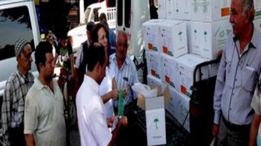 Aydınlı Zeytinci Sineğe Karşı Tuzaklarını Hazırladı