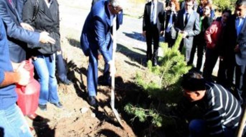 Kars Kent Ormanı&rsquo;nda &Ccedil;am Fidanları Toprakla Buluştu