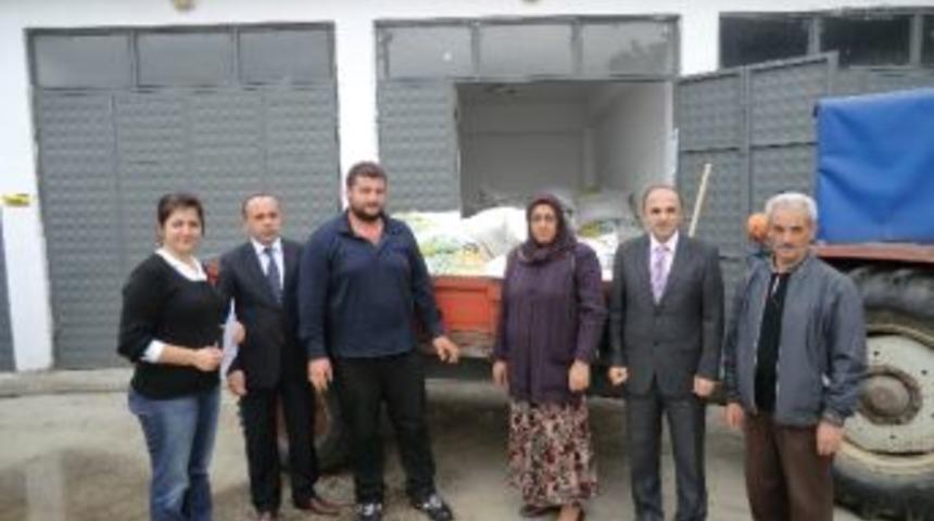 D&uuml;zce&rsquo;de Fiğ Tohumu Dağıtıldı