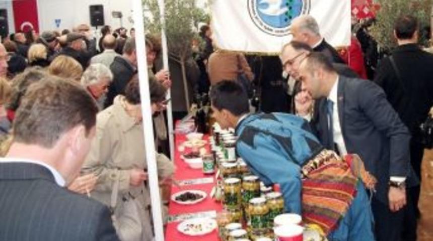 Fransızlar Bursa Zeytinini Sevdi