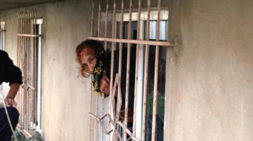 Kafası pencere korkuluklarına sıkıştı